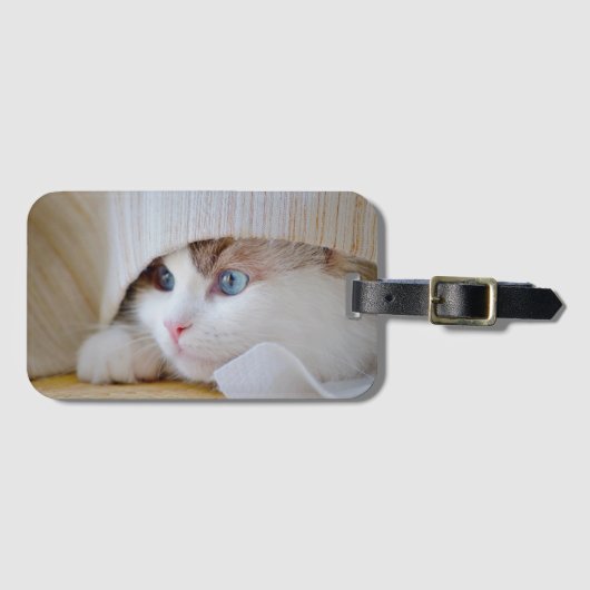 Kat, Natuur, kitten Bagagelabel (Voorkant (horizontaal))