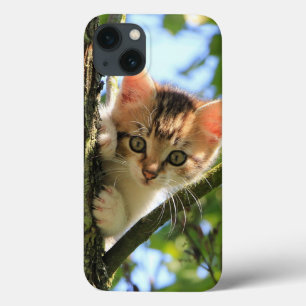 Kat, Natuur, kitten Case-Mate iPhone Case