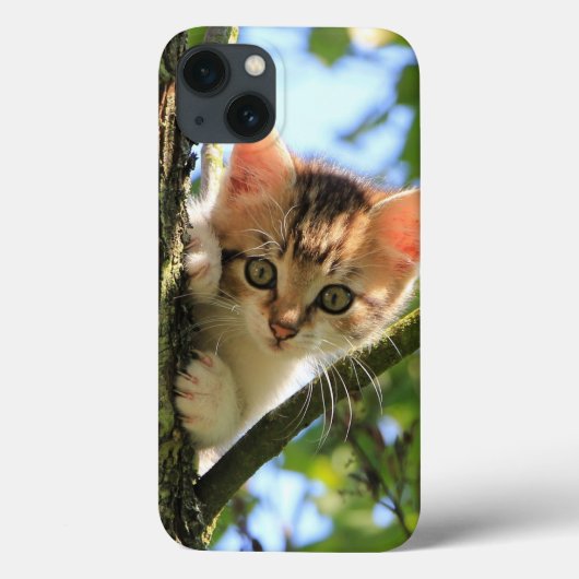Kat, Natuur, kitten Case-Mate iPhone Case (Achterkant)