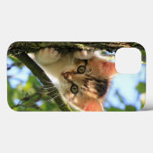 Kat, Natuur, kitten Case-Mate iPhone Case (Achterkant (horizontaal))