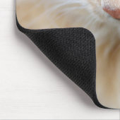 Kat, natuur, kitten muismat (Hoek)