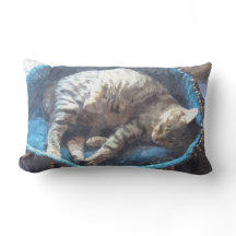 Kat neemt een dutje, Tabby Tiger Kat Slapen