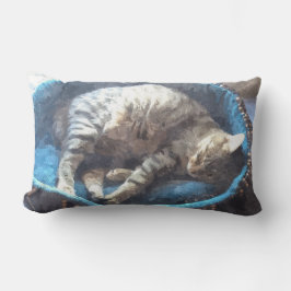 Kat neemt een dutje, Tabby Tiger Kat Slapen Kussen