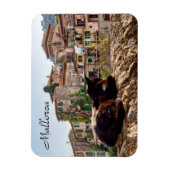 Kat neemt een zonnebad op een muur - Valldemossa,  Magneet (Verticaal)