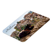 Kat neemt een zonnebad op een muur - Valldemossa,  Magneet (Linkerzijde)