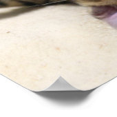 Kat neemt een zonnebad op het strand 2023 kalender poster (Hoek)