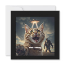 Kat neemt selfie met ufo en bigfoot grappig cadeau