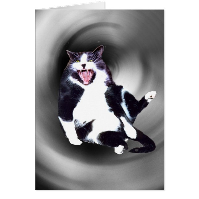 Kat neerschuiven op kaart (Voorkant)