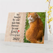 Kat niet langer aan onze zijde maar voor altijd in kaart (Gele Bloem)