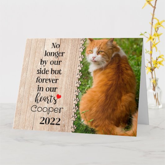 Kat niet langer aan onze zijde maar voor altijd in kaart (Gele Bloem)