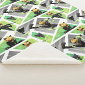 Kat Noir & Plagpatroon Sherpa Deken (3/4)