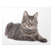 Kat Notitieblok (Voorkant)