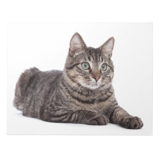 Kat Notitieblok (Voorkant)