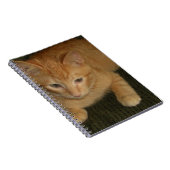 Kat Notitieboek (Rechterzijde)