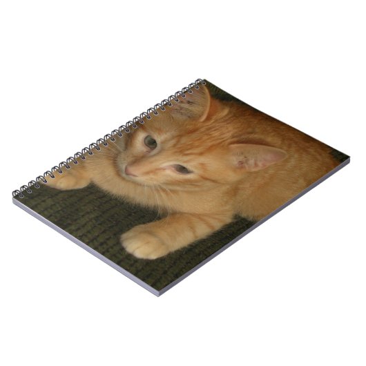 Kat Notitieboek (Linkerzijde)