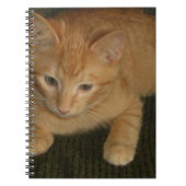 Kat Notitieboek (Voorkant)