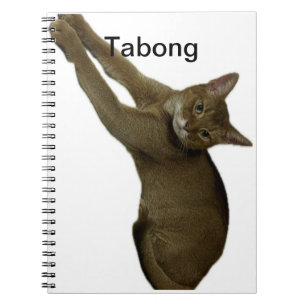 Kat. Notitieboek