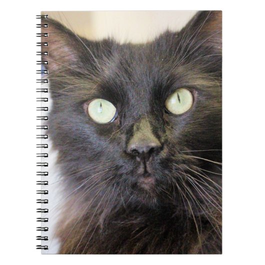 Kat Notitieboek (Voorkant)