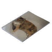 Kat Notitieboek (Linkerzijde)