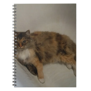 Kat Notitieboek