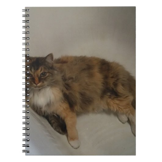 Kat Notitieboek (Voorkant)