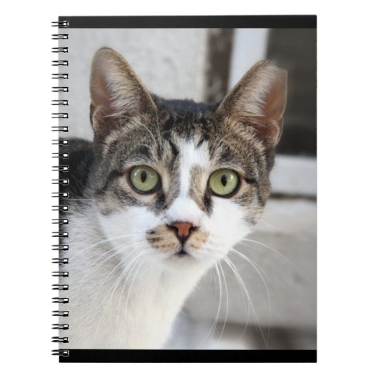 Kat Notitieboek (Voorkant)