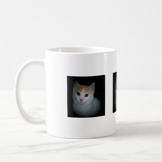 Kat nr. 4, Mok (Links)