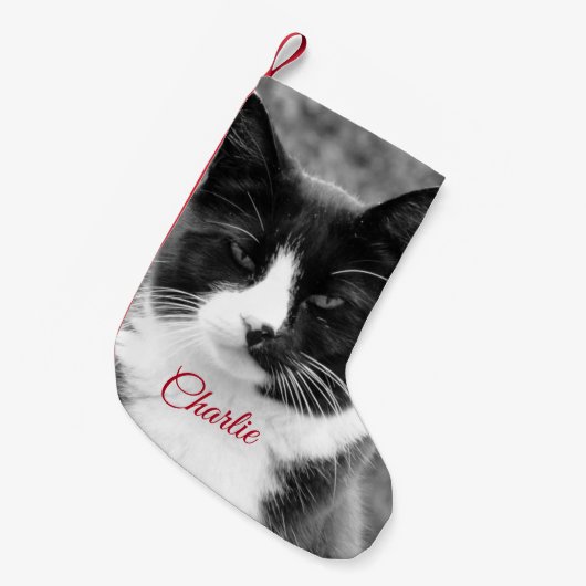 Kat of Dog Aangepaste Feestdagen Kleine Kerstsok (Voorkant (Hangend))