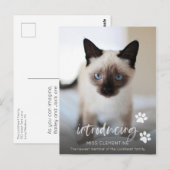 Kat of Keukenadoptie, Introductie van de Nieuwe Fo Briefkaart (Voorkant / Achterkant)