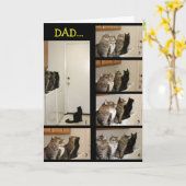 Kat- of vliegkaart kaart (Gele Bloem)