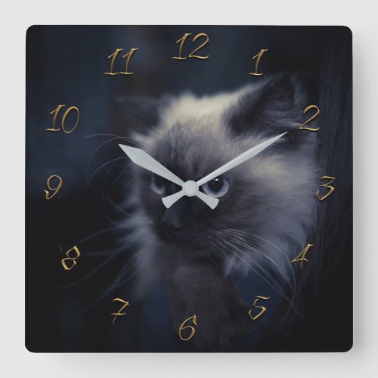 Kat ogen vierkante klok (Voorkant)