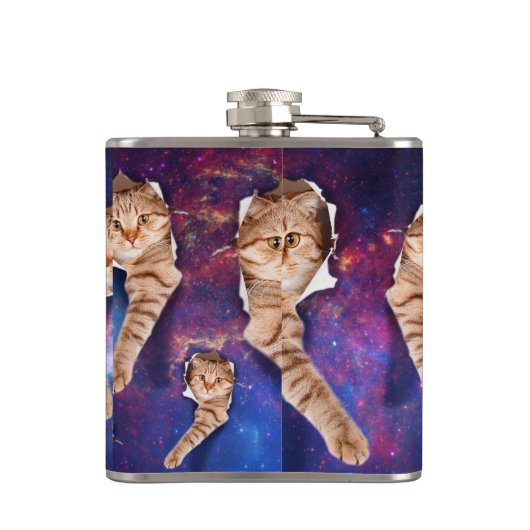 Kat omhoog kijkend in een gat in de ruimte heupfles (Achterkant)