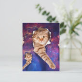 Kat omhoog kijkend in ruimte zijafgebroken gat briefkaart (Staand voorkant)