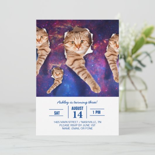 Kat omhoog kijkend in ruimte zijafgebroken gat kaart (Staand voorkant)