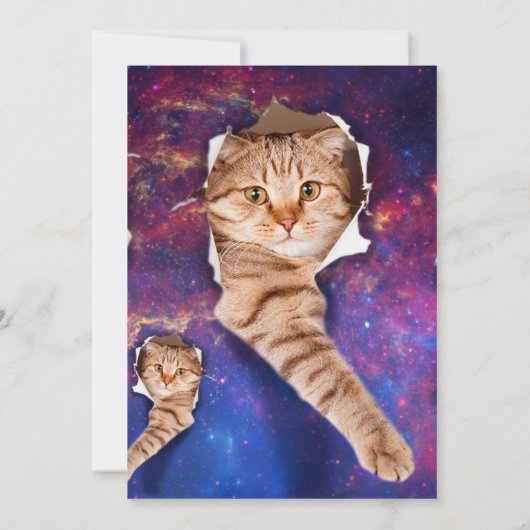 Kat omhoog kijkend in ruimte zijafgebroken gat kaart (Achterkant)