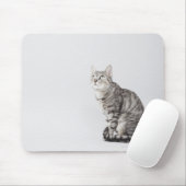 Kat omhoog kijkend muismat (Met muis)