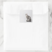 Kat omhoog kijkend vierkante sticker (Tas)