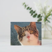 Kat omhoog Sluiten Briefkaart (Staand voorkant)