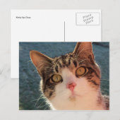 Kat omhoog Sluiten Briefkaart (Voorkant / Achterkant)
