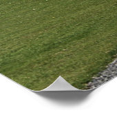 Kat omhoog spoelen poster (Hoek)