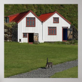 Kat omhoog spoelen poster (Voorkant)