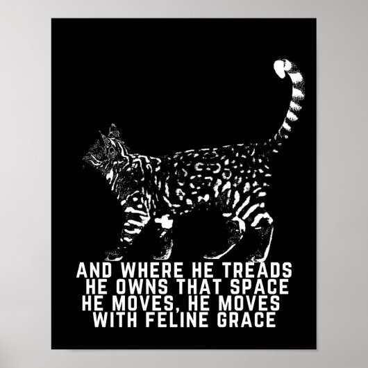 Kat omtrek met zwart feliene gratiegedicht poster (Voorkant)