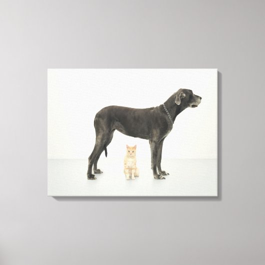 Kat onder Great Dane Canvas Afdruk (Voorkant)