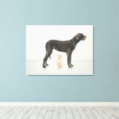 Kat onder Great Dane Canvas Afdruk (Insitu (Houten vloer))