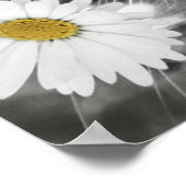 Kat onder het Poster Daisies Print (Hoek)