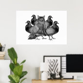  kat onder het Poster Pigeons (Thuiskantoor)