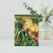 Kat onder het TulpenBriefkaart Briefkaart (Staand voorkant)