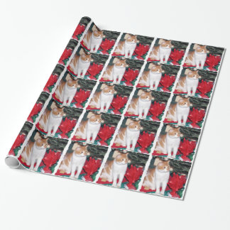 Kat onder kerstboom cadeaupapier