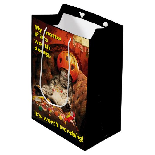 Kat onder Snoep Emmer Medium Cadeauzakje (Voorkant Gekanteld)