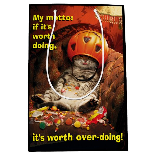 Kat onder Snoep Emmer Medium Cadeauzakje (Voorkant)